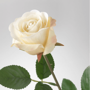 just ikea SMYCKA Artificial Flower - Rose White 52 cm ikea in pakistan